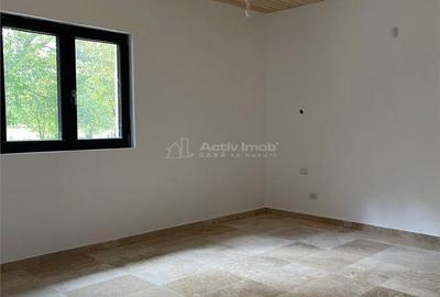 Casă cu 4 camere cu Teren 8000 Mp în Câmpuri - 11