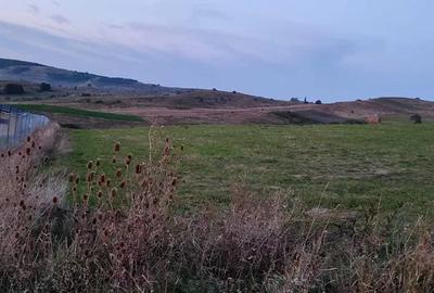 Teren agricol de 3000 mp, în Săliștea Nouă - 1