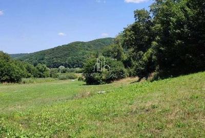 Teren de 20 mp, în Daneș - 14