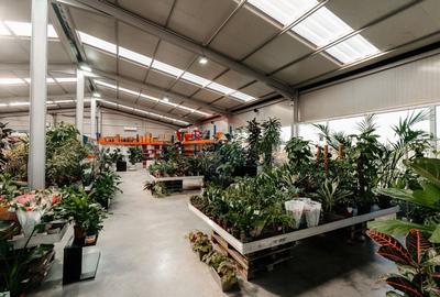 Spatiu industrial de 457mp de vanzare in zona Calea Santandrei - 3