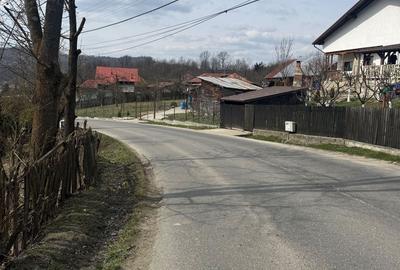 Spațiu comercial, în Provița de Jos - 7