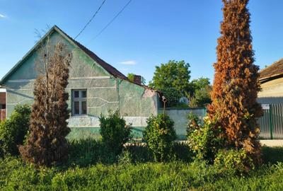 Casă cu 3 camere în Dorobanți - 7