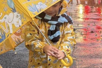 Teren Construcții intravilan de 9400 mp, în Ciolpani - 10