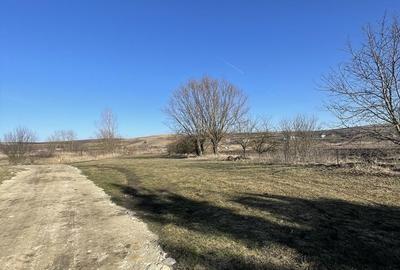Spațiu comercial, în Tureni - 2