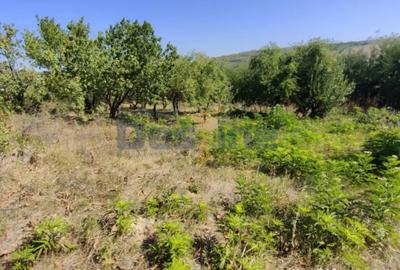 Casă cu 4 camere cu Teren 6400 Mp în Hărpășești - 12