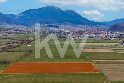 Teren agricol intravilan de 1570 mp, în Zărnești - 9