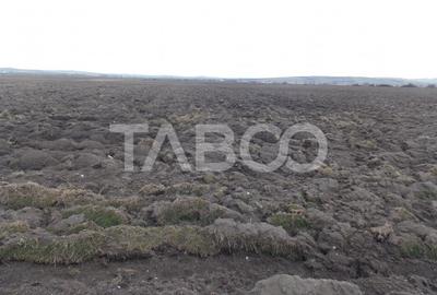 Teren intravilan de vanzare 10.000 mp in zona Industriala Vest Sibiu - 3