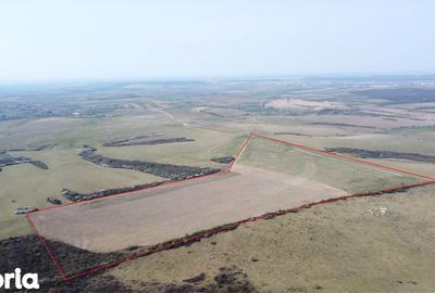 Teren de 268200 mp, în Ardud - 1