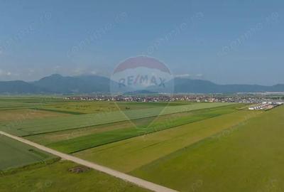 Teren 42,000mp Tarlungeni / Strada Izvor - 9