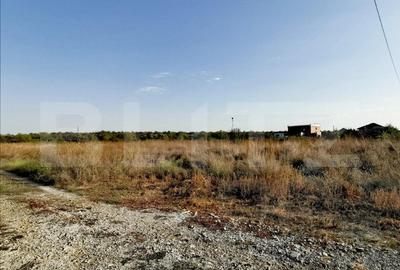 Teren Construcții intravilan de 365 mp, în Malu Mare - 2