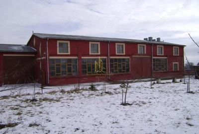 Spațiu comercial, de 600 mp, în Dumbrăveni - 19
