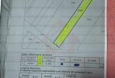 Teren intravilan în Vidra