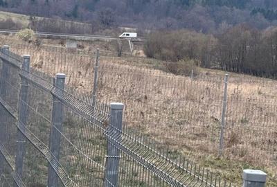 Teren Construcții intravilan de 1030 mp, în Dumbrăvița - 8