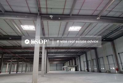 Spatiu Depozitare Aproape Port Constanta, 5.000 - 90.000mp - 2