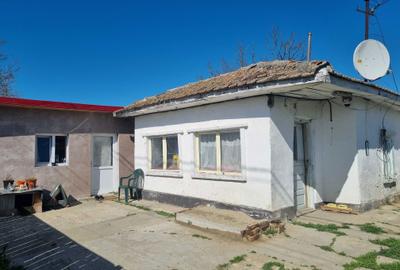 Casă cu 3 camere în Nicolae Bălcescu - 2