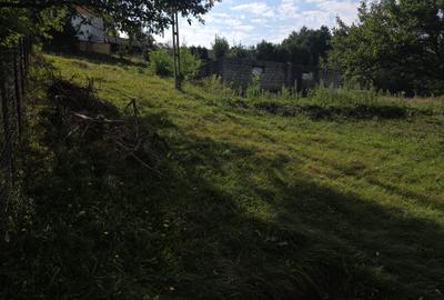 Teren Construcții intravilan de 1000 mp, în Bran - 9