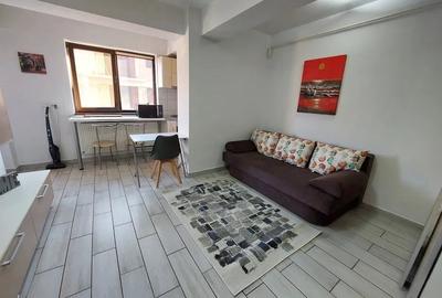 Apartament cu 1 camera, etajul 1/4, zona Tatarasi - 4