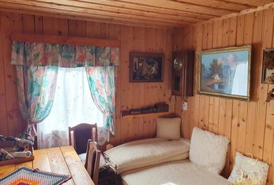 Cabana de lemn cu teren 760 mp de vanzare in Coada Lacului - Bihor - 13
