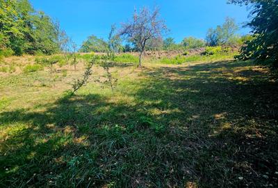 Teren intravilan 2322 mp, Păcuri – vedere superbă spre pădure! - 10