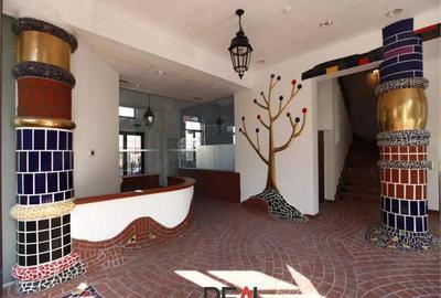 Spațiu comercial, în Aviației - 16