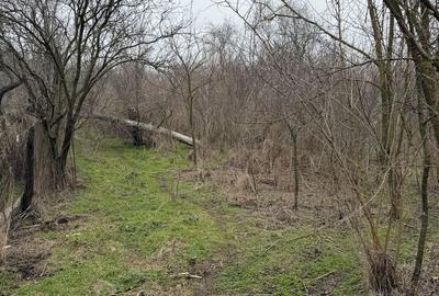 Spațiu comercial, în Călinești - 2