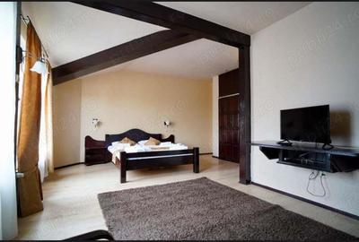 Ofer spre inchiriere HOTEL 10 CAMERE, DEVA - 2