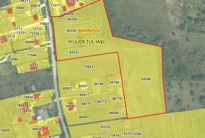 Teren Visan 20.000 mp intravilan - 1