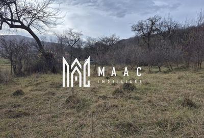 Teren de vanzare | Orlat | Extravilan - 3