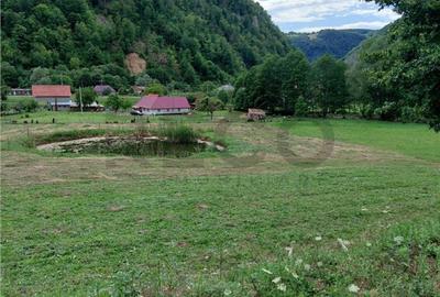 Teren de 9600 mp, în Bulz - 2