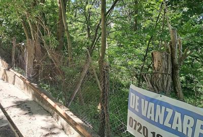 Teren de 917 mp, în Cornu - 8