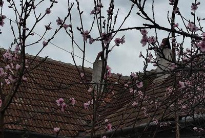 Casă cu 5 camere cu Teren 2200 Mp în Coșdeni - 10