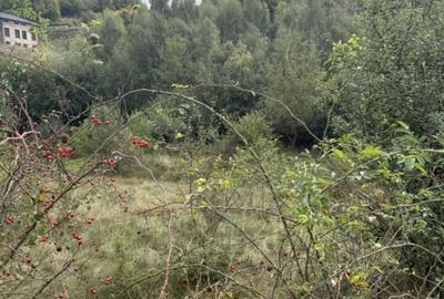 Teren 971 MP, intrare Salicea cu autorizatie , Casa Individuala - 3