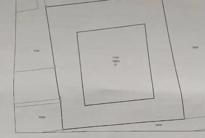 Casă cu 3 camere cu Teren 260 Mp în Valu lui Traian