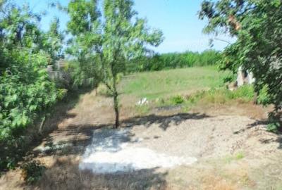 Teren de 1000 mp, în Nădab - 3