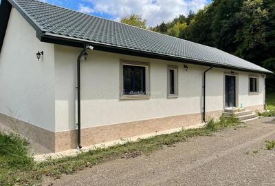 Casă cu Teren 8000 Mp în Câmpuri - 1