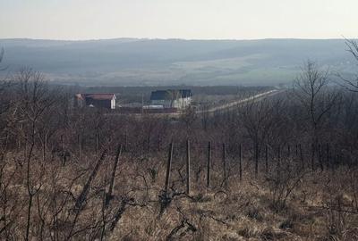 Spațiu comercial, în Plopu - 2