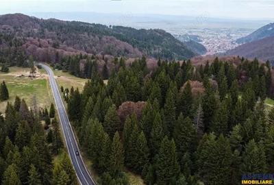 Teren de 1000 mp, în Poiana Brașov - 11