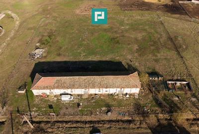 Hală industrială cu teren generos în Zărand, Arad - 53