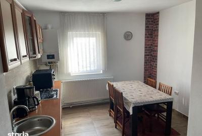Apartament cu 2 camere semidecomandat în Turnișor - 10
