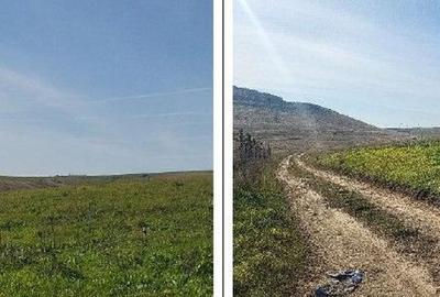 Teren extravilan sat Mineri, ID: R2376975 - 3