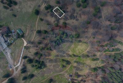 Teren Construcții intravilan de 1000 mp, în Poiana Brașov - 4