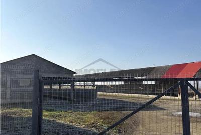 Spațiu comercial, de 4,800 mp, în Araci - 3