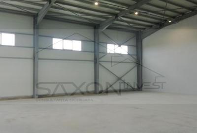 Hala depozitare sau productie   Drumul intre Tarlale,  600MP - 12