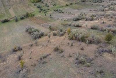 Teren extravilan Perieni, cota parte 6/16 , ID: R2822105 - 2