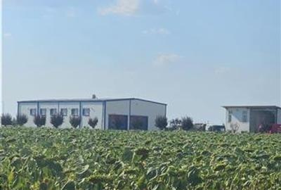 Teren de vanzare  - Caciulati - Ilfov - 2