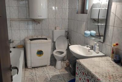 Casa batraneasca de vanzare - 2