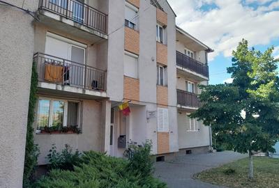 Apartament cu 3 camere decomandat în Vladimirescu - 5