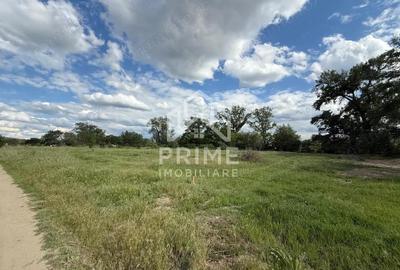 Teren intravilan de vanzare 6.000 mp, Sebe? Teren intravilan de vanzare 6.000 mp, Sebe? - 3