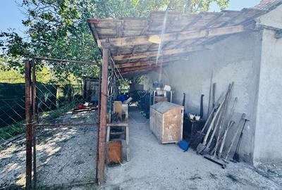 Teren Construcții intravilan de 6210 mp, în Apateu - 19