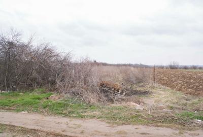 Teren de 2200 mp, în Varlaam - 4